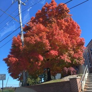 Meet your Posher, Amreen